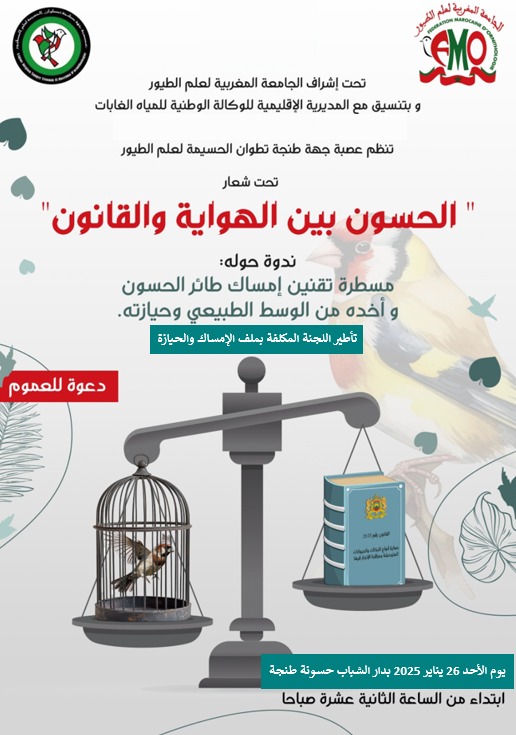 ندوة بطنجة حول طائر الحسون