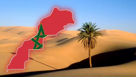 كازاخستان تؤكد دعمها لمغربية الصحراء وتشيد بمخطط الحكم الذاتي