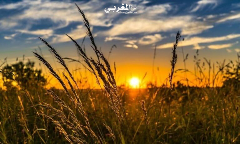 طقس حار نسبيا وهبات رياح قوية غدا الإثنين
