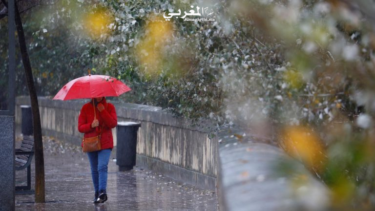 نشرة إنذارية.. تساقطات مطرية قوية محليا رعدية مرتقبة بعدد من مناطق المملكة