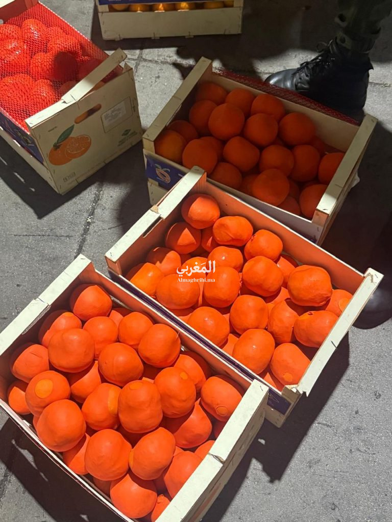 إحباط محاولة تهريب أزيد من 4 أطنان من الشيرا بميناء طنجة المتوسط