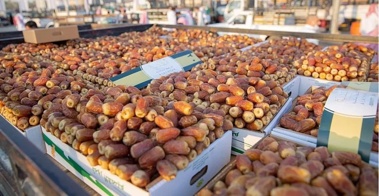 بعد أن استثنت السوق المغربية.. تونس تستأنف تصدير التمور وتحدد موعد انطلاق الموسم