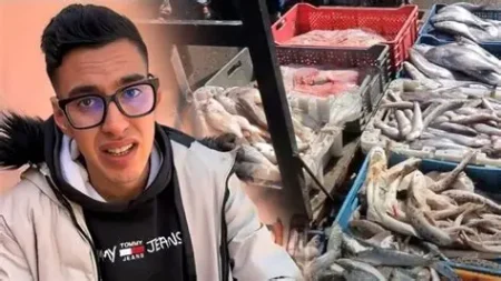 حقوقيون يطالبون النيابة العامة بالتدخل العاجل ضد محتوى “مول الحوت”