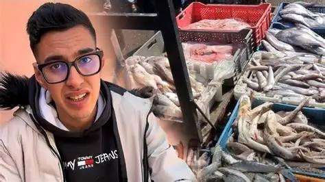 حقوقيون يطالبون النيابة العامة بالتدخل العاجل ضد محتوى “مول الحوت”