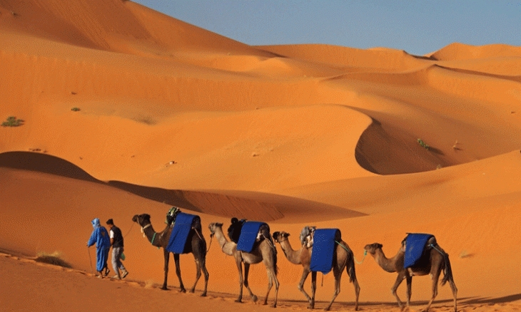 عيد الوحدة.. خطوة إضافية نحو تعزيز سيادة المغرب في أقاليمه الجنوبية