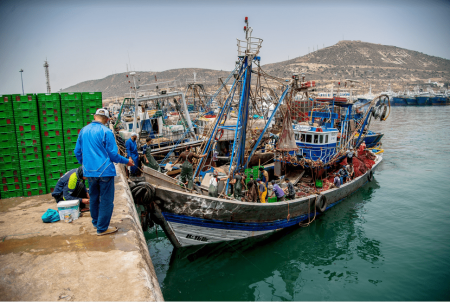اتفاقية صيد جديدة قيد التفاوض بين المغرب والاتحاد الأوروبي