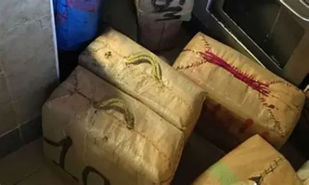 إحباط محاولة تهريب أزيد من طن من مخدر الحشيش بمنطقة المنار بطنجة