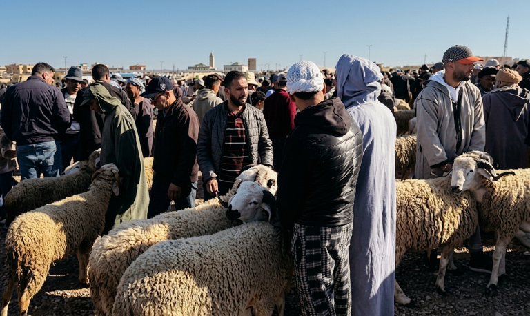 قرار مفاجئ قبل العيد.. الداخلية تعفي المواطنين من “صنك الأضاحي” لتخفيف وطأة غلاء الأسعار