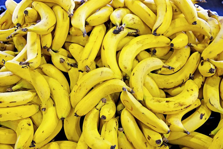 القنيطرة.. حجز كميات من الفواكه وإغلاق مستودعات غير مرخصة لإنضاج الموز